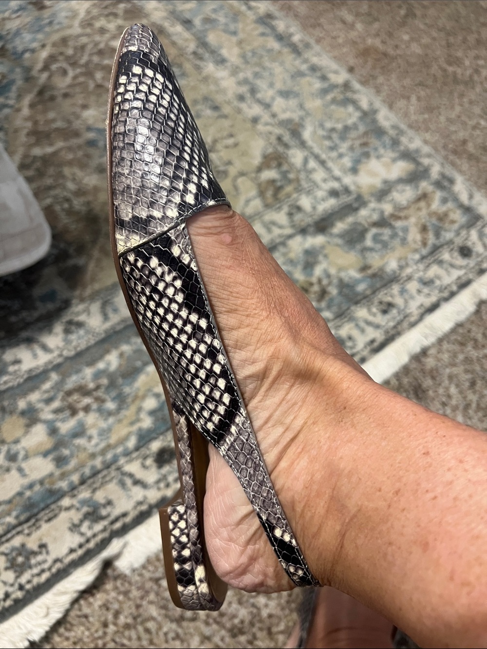 Michael Kors Snake-Print Pointed Slingback Flats in Black and Cream